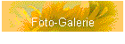 Foto-Galerie